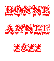 G4_BONNE_ANNEE_2022_Lettres