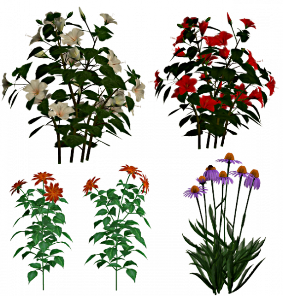 Hen_et_mavka_paques_2024_decor_fleur