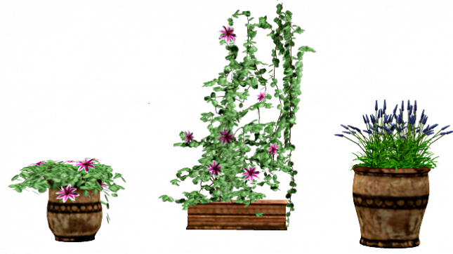 K4_G4_rentree_classes_2024_plantes